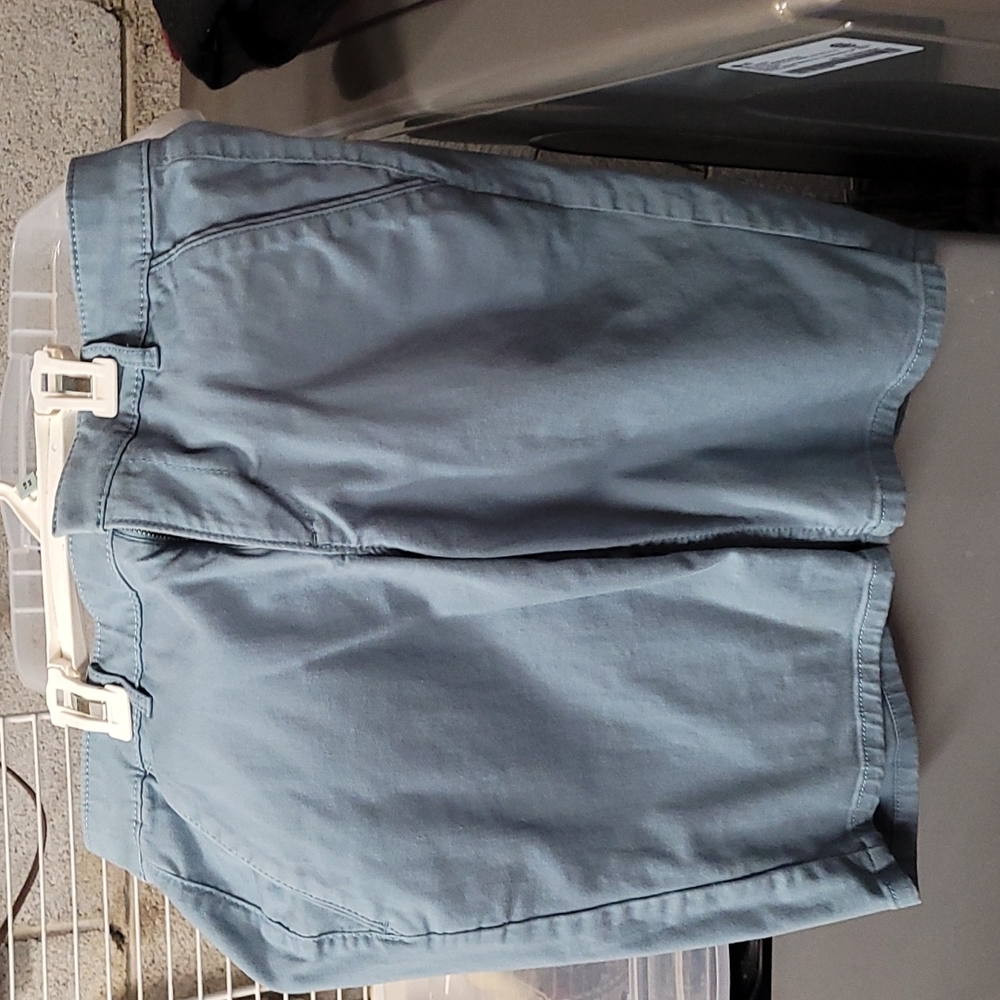 Loft shorts